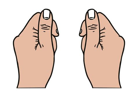 Thumb Finger hand anatomy vector image illustrations 21655448 Vector Art at Vecteezy