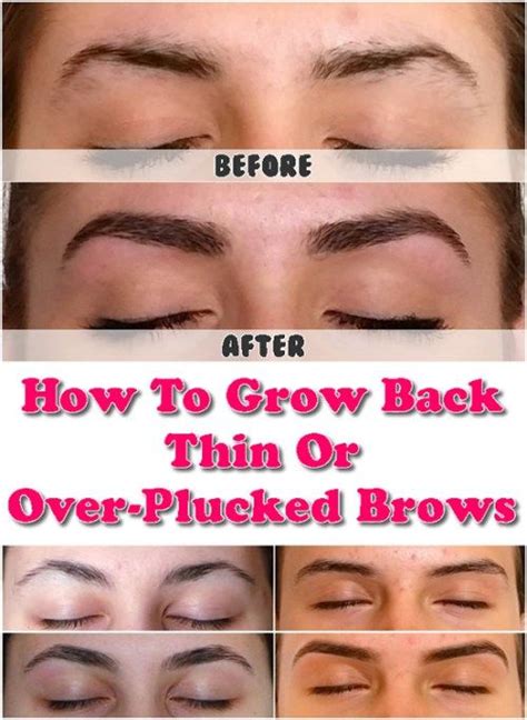 How To Grow Eyebrows Back - EyebrowShaper