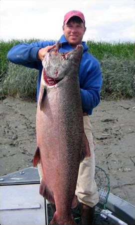 Guided Kenai River Alaska King Salmon Fishing Charters! www ...