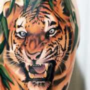 Animal Tattoo Motive | World Tattoo Gallery | Page 60