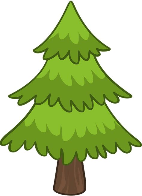 Pine Tree Transparent Background