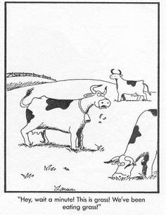 Hey, we're eating grass! | Far side comics, The far side, Gary larson
