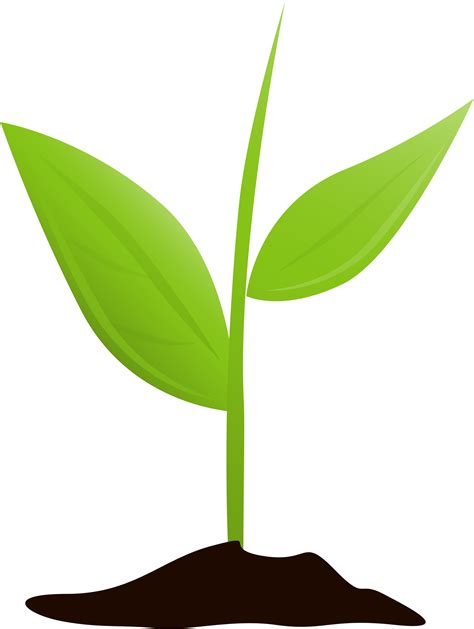 Download Get Started And Grow - Plant Growing Transparent Clipart (#2180947) - PinClipart