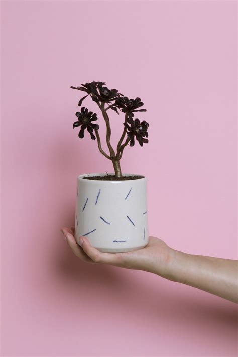 Weak End Club Ceramics | Plants, Flower pots, Ceramics