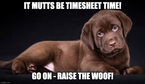 doggy timesheet reminder - Imgflip