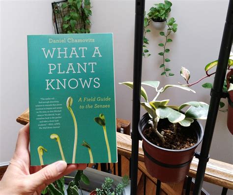 Plant book recommendations by @houseplantjournal | Plants, Plant book, Plant life