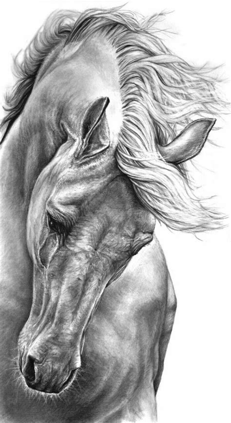 Geniales imágenes de Dibujos a lápiz 🥇 Horse Pencil Drawing, Horse ...