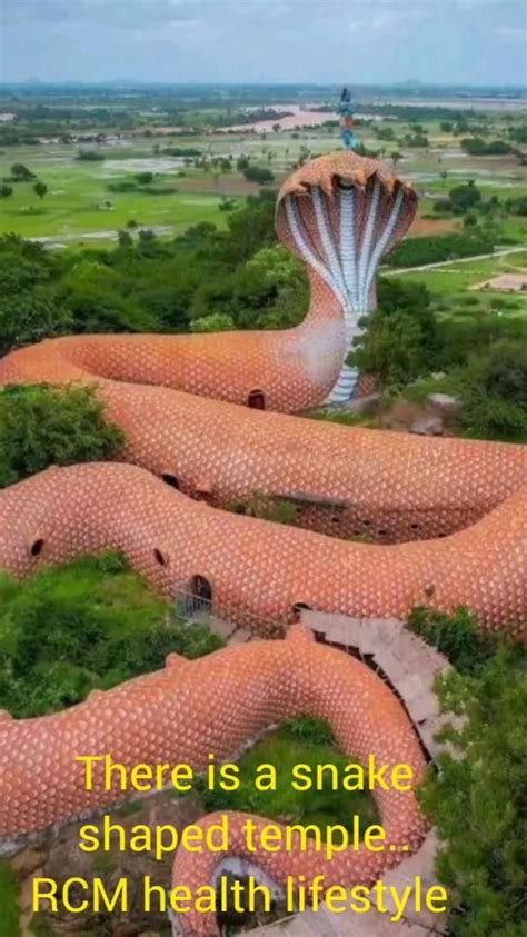 There is a snake shaped temple.. 😮