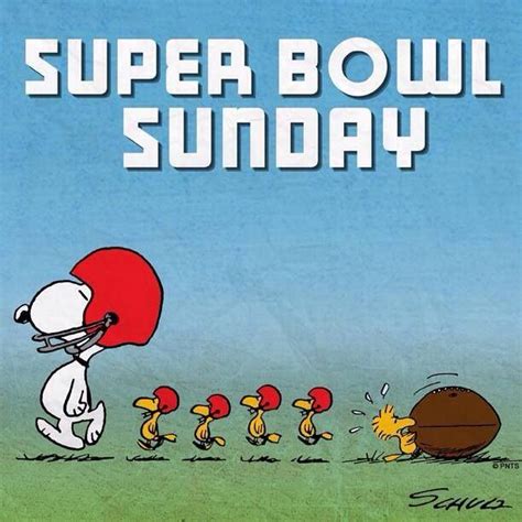 Super Bowl | Snoopy, Snoopy love, Snoopy pictures