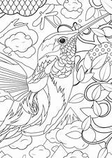 Adult Coloring Pages Animals  Best For Kids sketch template