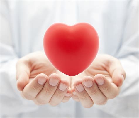 Free Holding Heart Cliparts, Download Free Holding Heart Cliparts png images, Free ClipArts on ...