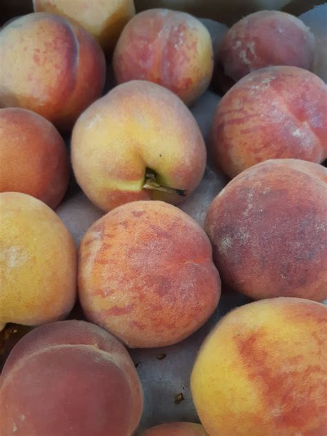 Peaches Freestone Creston | Peppergrass Market