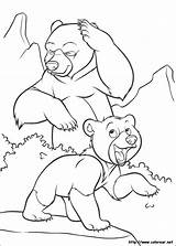 Dibujos Para Colorear De Hermano Oso sketch template