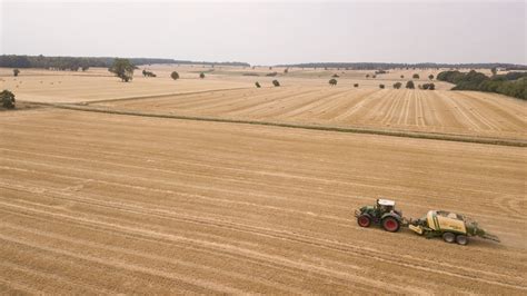 German Farmers Struck By Drought Fear Further Damage From Climate ...