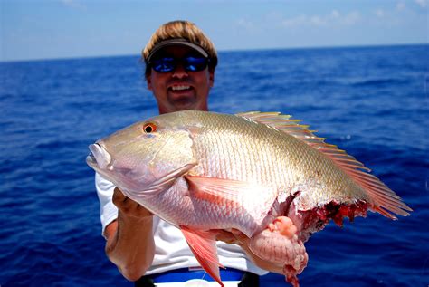 Mutton Snapper Caught From Deep Wreck – FloridaKeysReelAdventures