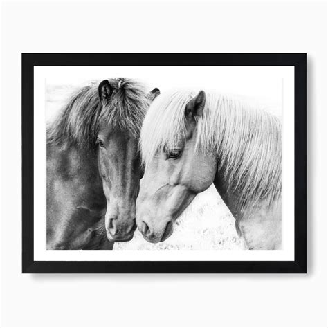 Horse Love Wall Art Print | Free Shipping | Fy Unframed Art Prints ...