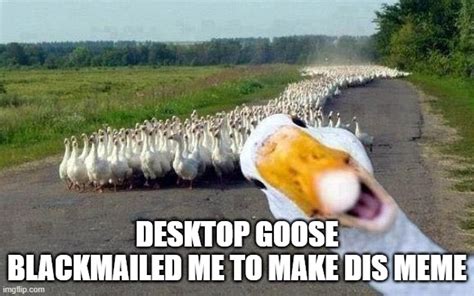 pls no hurt goose - Imgflip