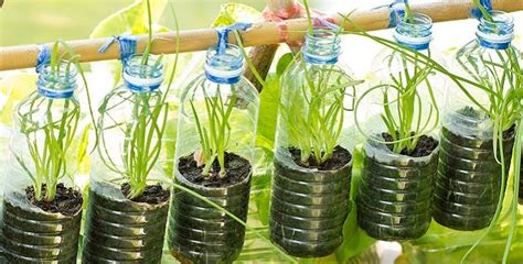 Plastic Bottles: Recycle or Repurpose? - The Permaculture Research Institute