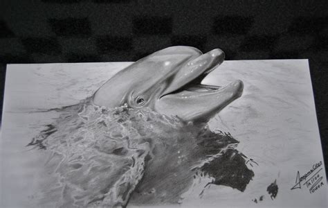 Realistic 3D draw dolphin - Pencil Desenho 3D realista golfinho - Lápis | Joaquim Cruz Draws ...