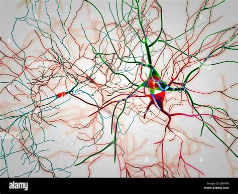 Brain, neurons, synapses, neural network circuit of neurons, degenerative diseases, Parkinson ...