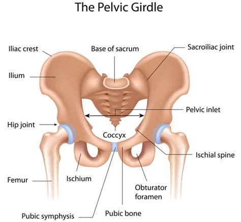 Naas Physio Clinic | Pelvic Pain Causing Back Pain with Treatment