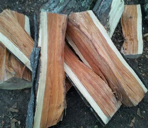 Black Walnut Wood - Forestry.com