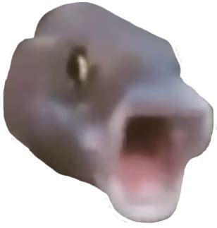 pogfish_remastered - Discord Emoji