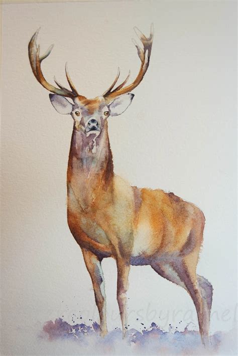 How to paint a stag in 5 easy steps..... | Deer painting, Watercolor deer, Watercolor paintings easy