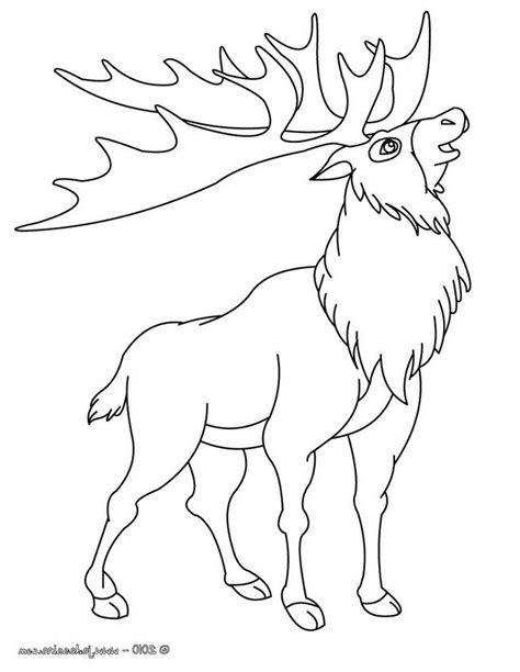 Renne Animal Dessin Beau Photos Coloriage Le Caribou D’amérique Dessin Gratuit à Imprimer ...