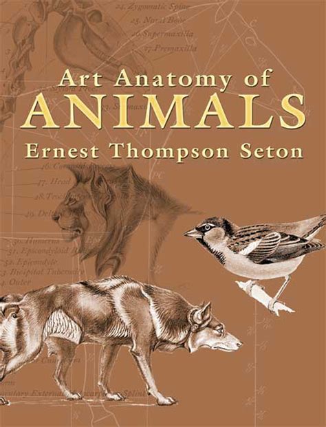 Art Anatomy of Animals by Ernest Thompson Seton - Book - Read Online