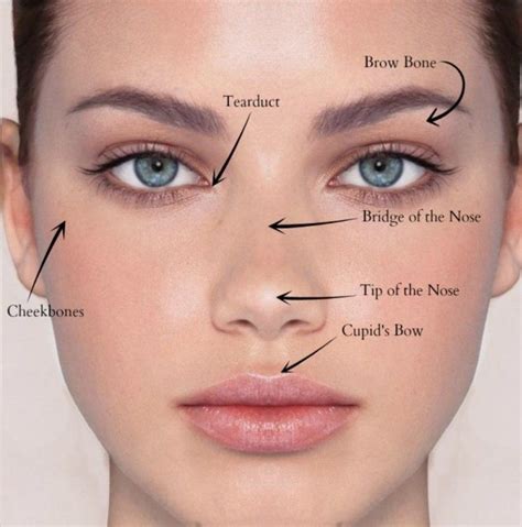 Pin by JaeSooo~ on Beauty Tips~ in 2024 | Tips for oily skin, Skin types, Nose highlight