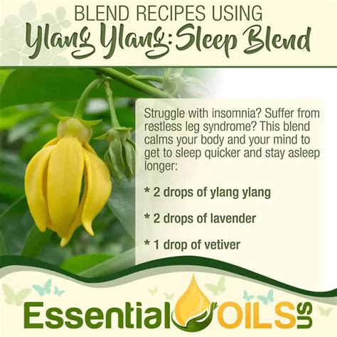 5 Ylang Ylang Diffuser Blends and Benefits