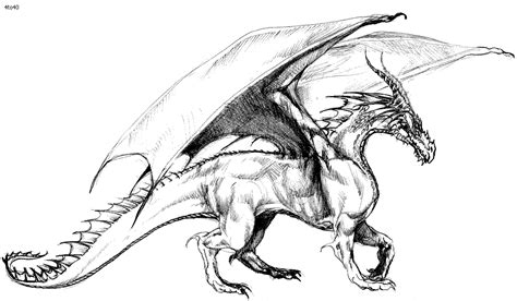 Dragon sketch? | Warna