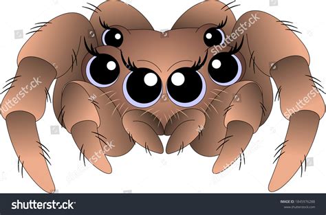 8,413 imágenes de Cartoon tarantula - Imágenes, fotos y vectores de stock | Shutterstock