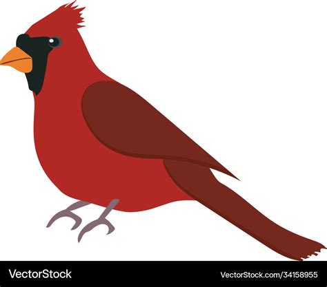 Red cardinal Royalty Free Vector Image - VectorStock