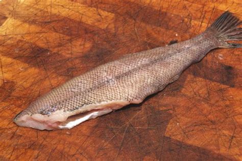 How to Cook Sand Dab, the Pacific's Littlest Flounder | Sanddab recipe, Seafood bake, Fried sushi