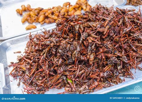 Fired Locusts and Worms on Food Market, Bangkok Stock Image - Image of ...