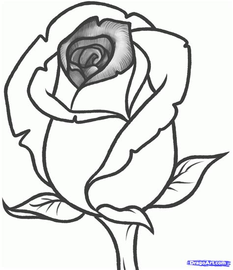 Simple Rose Drawings | Free download on ClipArtMag