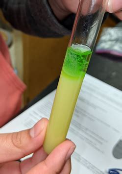 DNA Extraction