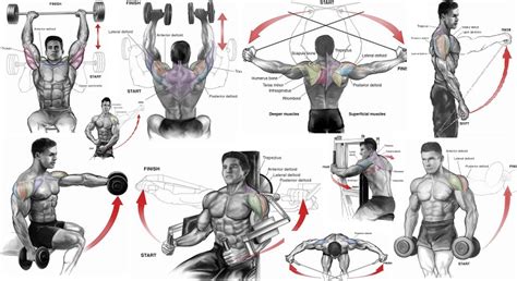 5 Best Shoulder Workouts for Mass ~ multiple fitness