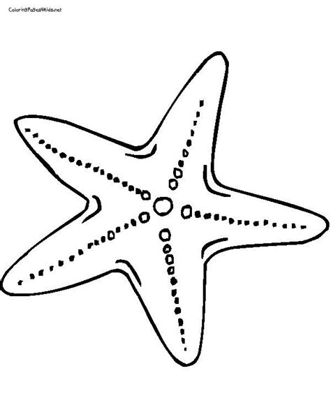 starfish color page - Google Search | Fish coloring page, Coloring ...