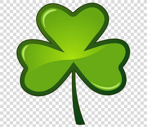 Saint Patricks Day, Plant Symbol PNG - shamrock, clover, fourleaf clover, green, leaf | St ...