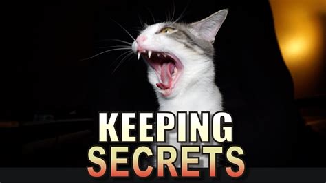 Talking Kitty Cat 53 - Keeping Secrets - YouTube