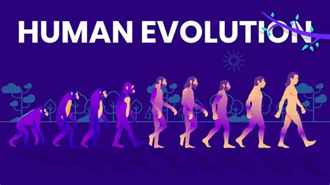 Human Evolution Animated Timeline - YouTube