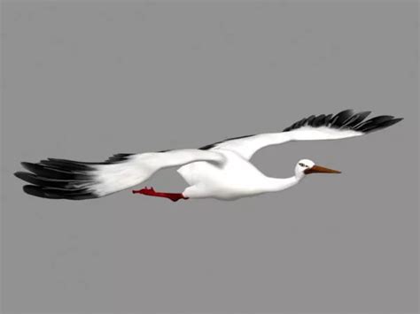 Crane Bird Flying Animation Free 3d Model - .Max - Open3dModel