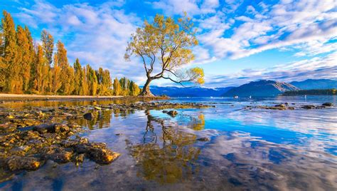 Lake Wanaka, New Zealand, Back to Nature! - Traveldigg.com