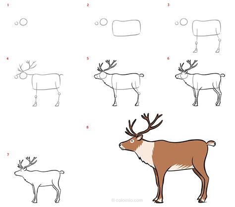 How to draw a Reindeer Reindeer Drawing Ideas