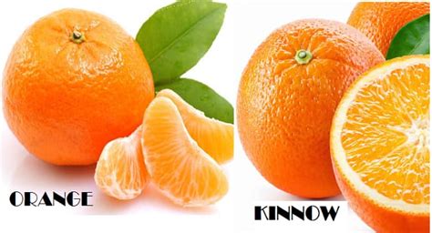 Orange Vs Kinnow: Which is more nutritious? l TheHealthSite.com | TheHealthSite.com