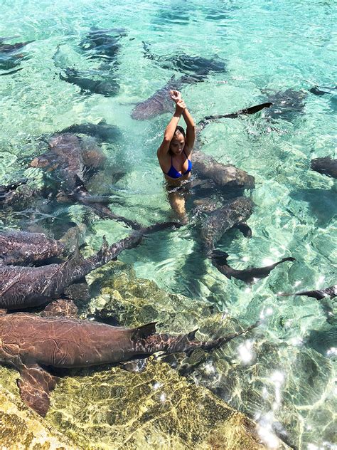 Model Katarina Zarutskie Gets Bitten by Shark While Posing for Photos