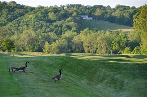 Pete Dye River Course - hole 16, Ralph Arthur photo | Photo, River ...